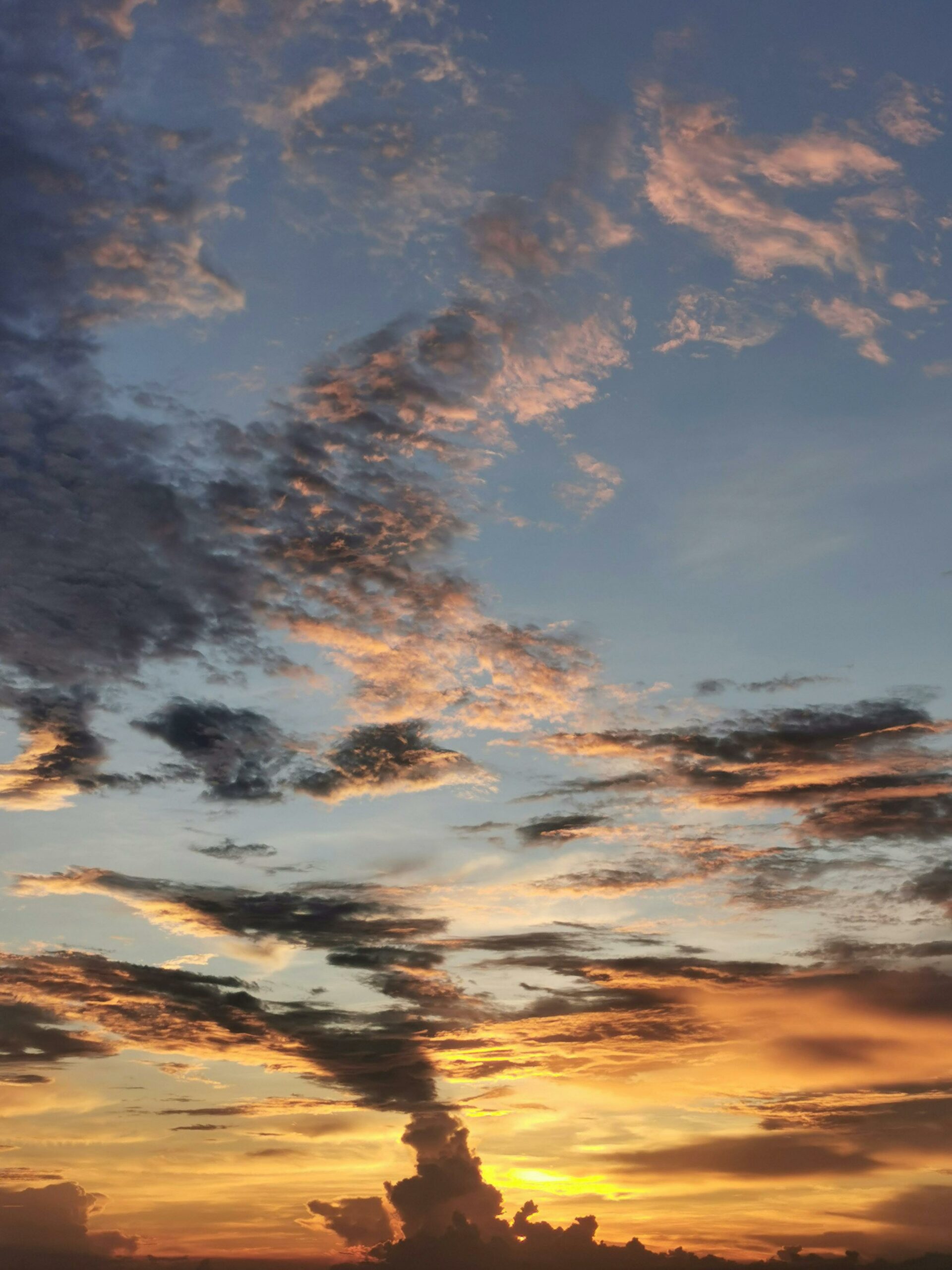 Finding Beauty in the Everyday