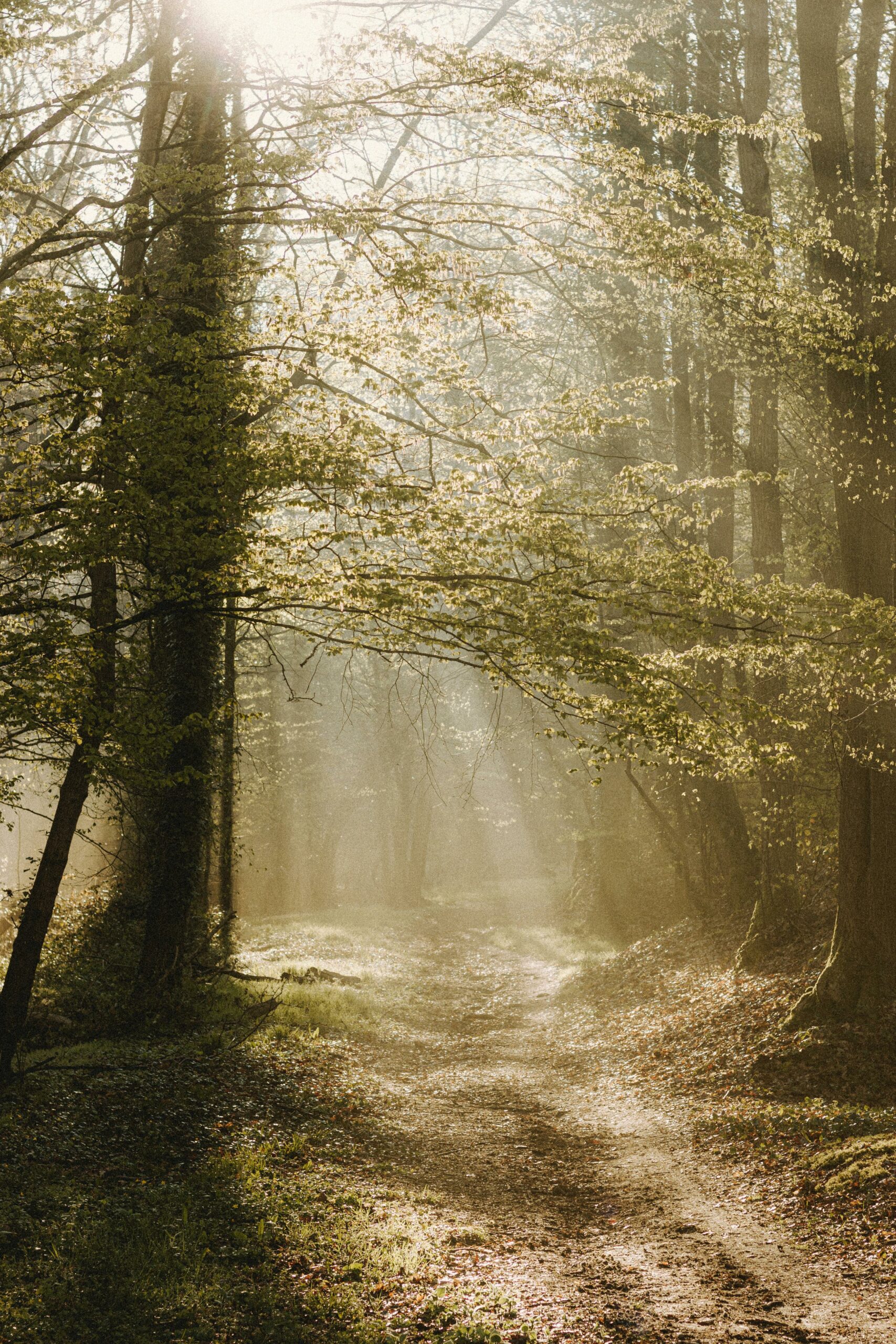 Managing Everyday Stress for a Happier Life